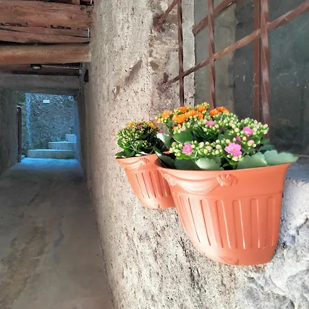 The Voltina * Diecimo