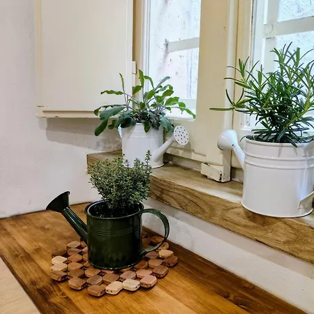 Apartamento La Voltina Diecimo