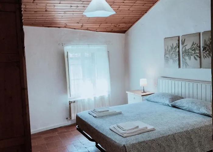 The Voltina * Diecimo