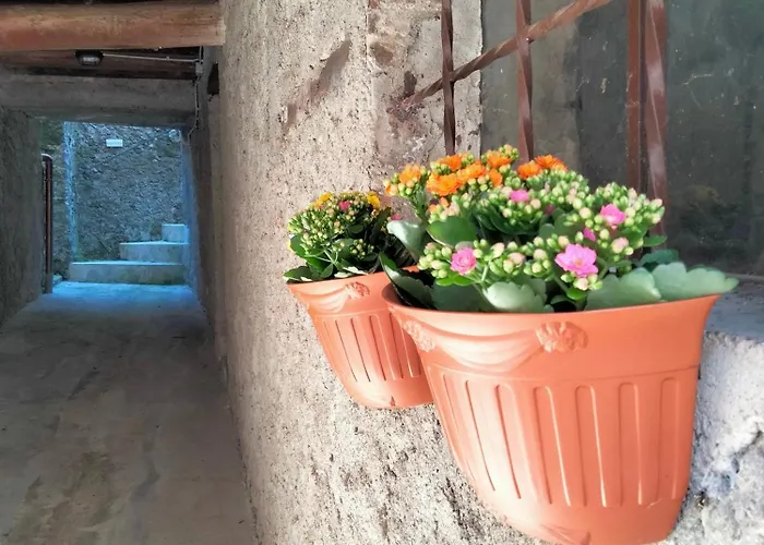 The Voltina * Diecimo